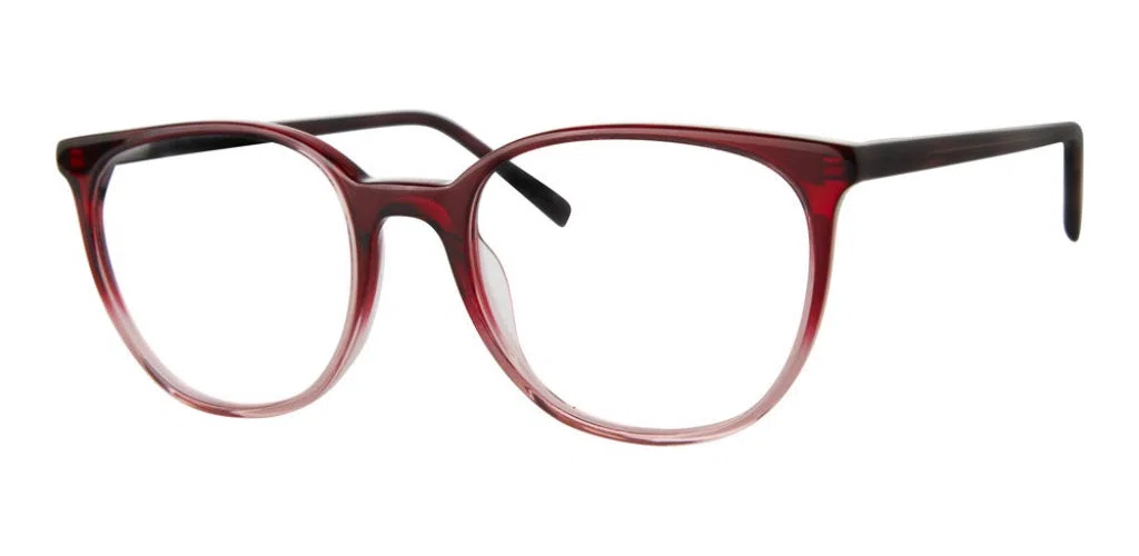 Adensco AD250 Eyeglasses - view 4